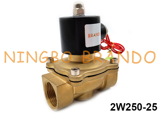 2W250-25 bằng đồng thau Van điện từ thường đóng kín cho nước khí dầu khí 2 chiều