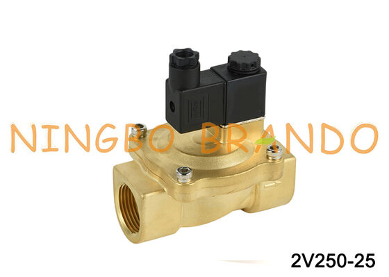 Airtac Loại 2V250-25 Van điện từ 2 chiều Van khí AC220V 110V DC12V 24V
