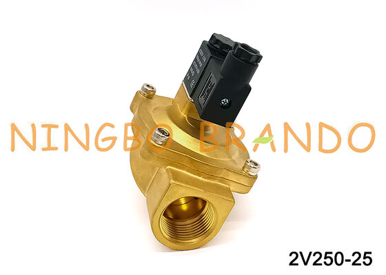 Airtac Loại 2V250-25 Van điện từ 2 chiều Van khí AC220V 110V DC12V 24V