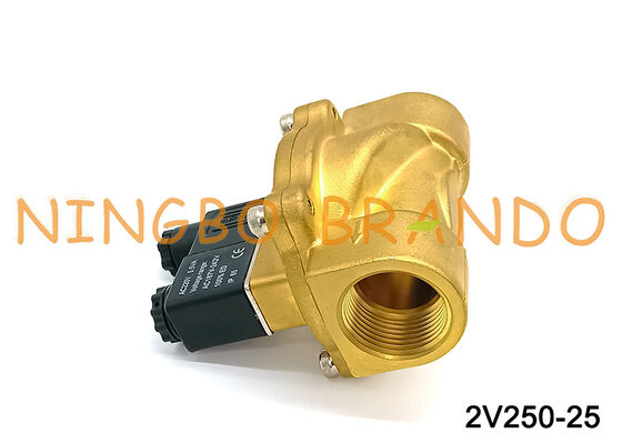 Airtac Loại 2V250-25 Van điện từ 2 chiều Van khí AC220V 110V DC12V 24V