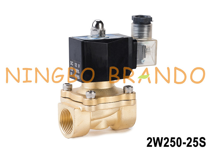 2W250-25 1'' 2 Way thường đóng đồng nước van điện tử 24V 220V