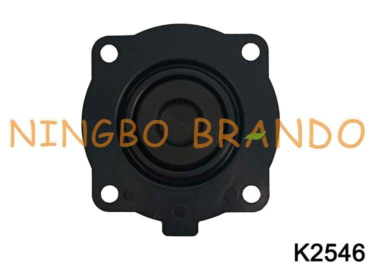 Bộ sửa chữa loại Goyen K2546 cho van xung dòng 4 RCAC25T4,DD4,FS4