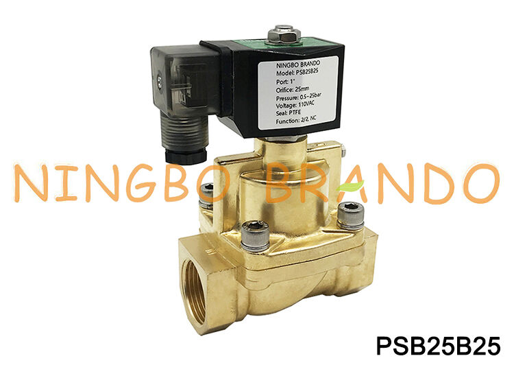 Van điện từ hơi nước 1 '' 2/2 chiều Đồng thau thường đóng 24V 110V 220V