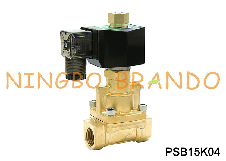 1/2 '' Inch Brass 2/2 Van điện từ hơi nước thường mở 24V 110V 220V